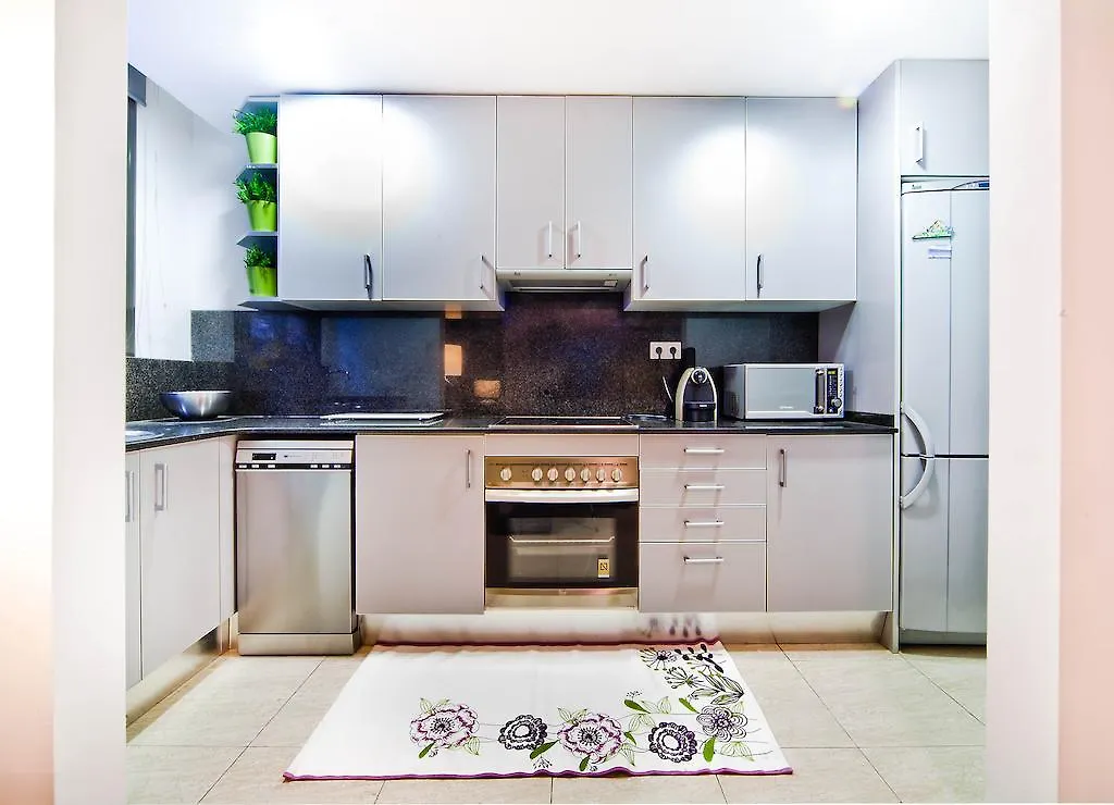 Loft And Flat Apartment Barcelona